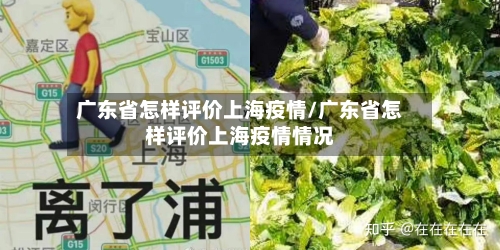 广东省怎样评价上海疫情/广东省怎样评价上海疫情情况-第3张图片