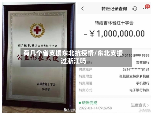 有几个省支援东北抗疫情/东北支援过浙江吗-第2张图片