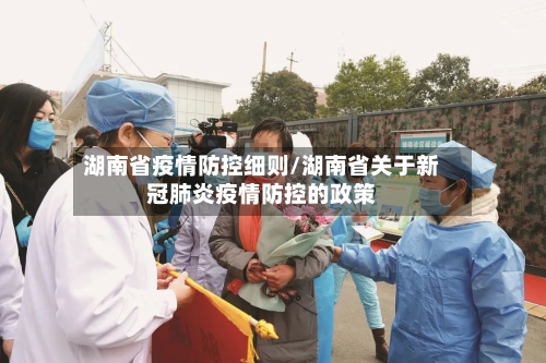 湖南省疫情防控细则/湖南省关于新冠肺炎疫情防控的政策-第3张图片