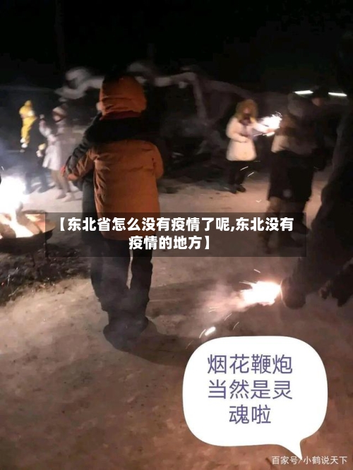 【东北省怎么没有疫情了呢,东北没有疫情的地方】-第1张图片
