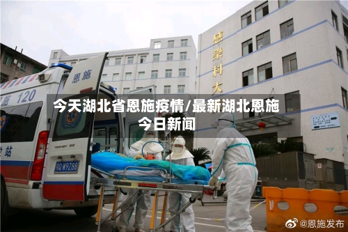 今天湖北省恩施疫情/最新湖北恩施今日新闻-第2张图片