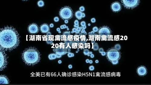 【湖南省现禽流感疫情,湖南禽流感2020有人感染吗】-第1张图片