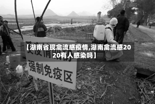 【湖南省现禽流感疫情,湖南禽流感2020有人感染吗】-第2张图片