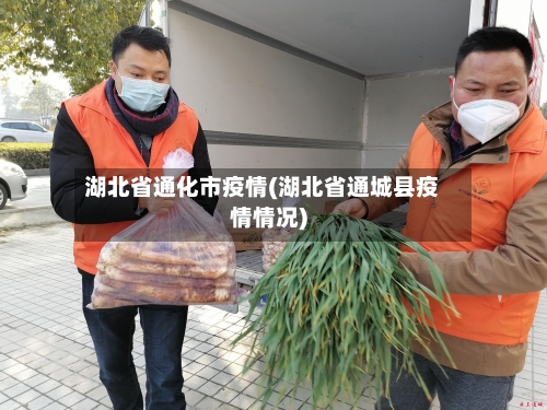 湖北省通化市疫情(湖北省通城县疫情情况)-第1张图片