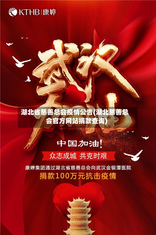 湖北省慈善总会疫情公告(湖北慈善总会官方网站捐款查询)-第2张图片