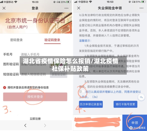 湖北省疫情保险怎么报销/湖北疫情社保补贴政策-第1张图片