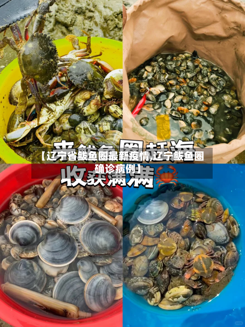 【辽宁省鲅鱼圈最新疫情,辽宁鲅鱼圈确诊病例】-第1张图片
