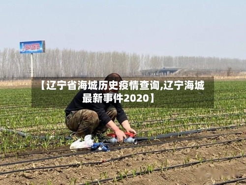 【辽宁省海城历史疫情查询,辽宁海城最新事件2020】-第2张图片