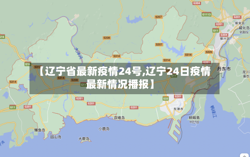 【辽宁省最新疫情24号,辽宁24日疫情最新情况播报】-第1张图片