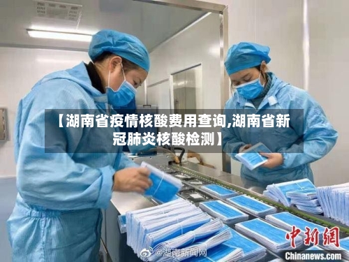 【湖南省疫情核酸费用查询,湖南省新冠肺炎核酸检测】-第3张图片