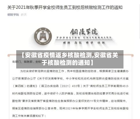【安徽省疫情返乡核酸检测,安徽省关于核酸检测的通知】-第1张图片