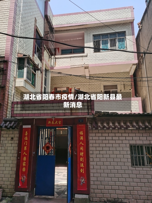 湖北省阳春市疫情/湖北省阳新县最新消息-第3张图片