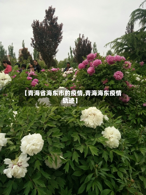 【青海省海东市的疫情,青海海东疫情轨迹】-第2张图片