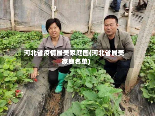 河北省疫情最美家庭图(河北省最美家庭名单)-第1张图片