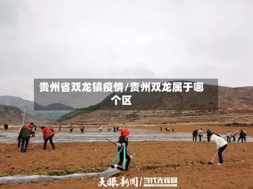 贵州省双龙镇疫情/贵州双龙属于哪个区-第2张图片