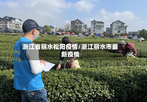 浙江省丽水松阳疫情/浙江丽水市最新疫情-第1张图片