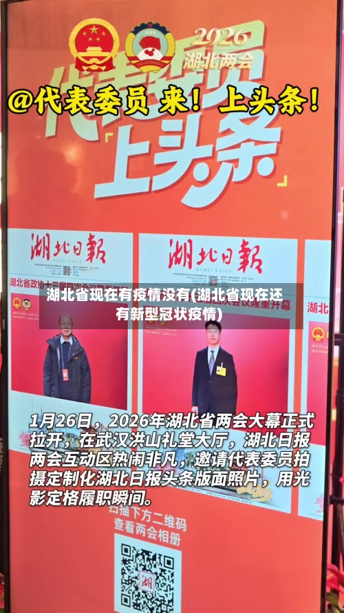 湖北省现在有疫情没有(湖北省现在还有新型冠状疫情)-第2张图片