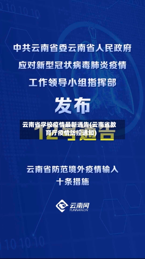 云南省学校疫情最新通告(云南省教育厅疫情防控通知)-第2张图片