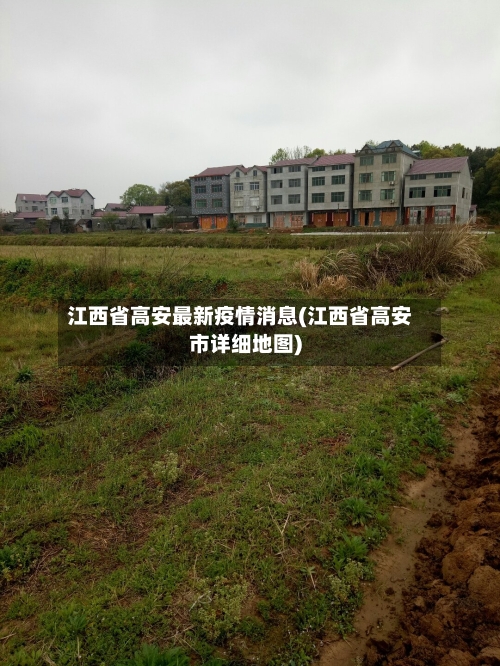 江西省高安最新疫情消息(江西省高安市详细地图)-第3张图片