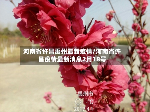 河南省许昌禹州最新疫情/河南省许昌疫情最新消息2月18号-第3张图片