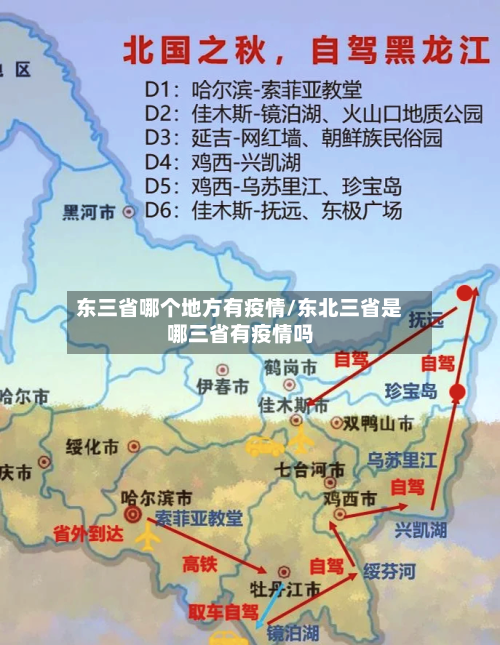 东三省哪个地方有疫情/东北三省是哪三省有疫情吗-第2张图片
