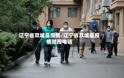 辽宁省双城县疫情/辽宁省双城县疫情防控电话-第2张图片