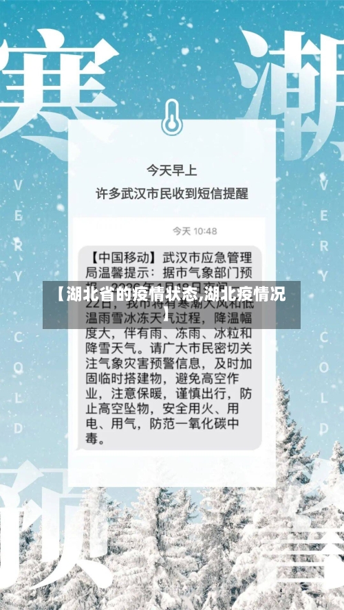 【湖北省的疫情状态,湖北疫情况】-第1张图片