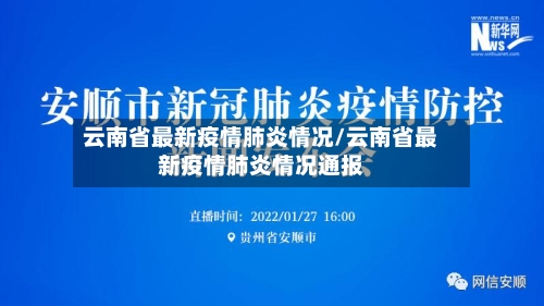 云南省最新疫情肺炎情况/云南省最新疫情肺炎情况通报-第2张图片