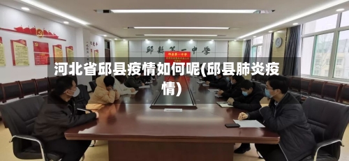 河北省邱县疫情如何呢(邱县肺炎疫情)-第2张图片