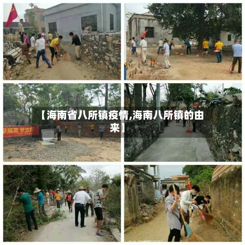 【海南省八所镇疫情,海南八所镇的由来】-第1张图片