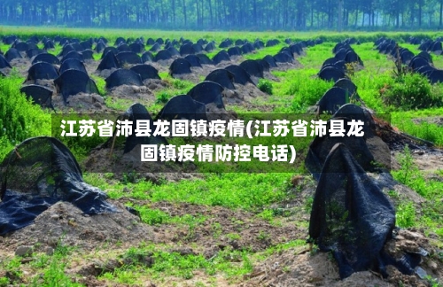 江苏省沛县龙固镇疫情(江苏省沛县龙固镇疫情防控电话)-第2张图片