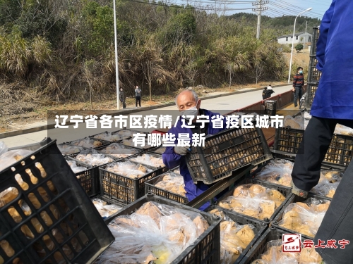 辽宁省各市区疫情/辽宁省疫区城市有哪些最新-第2张图片