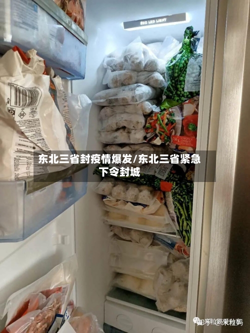 东北三省封疫情爆发/东北三省紧急下令封城-第1张图片