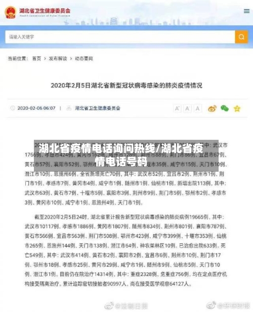 湖北省疫情电话询问热线/湖北省疫情电话号码-第2张图片