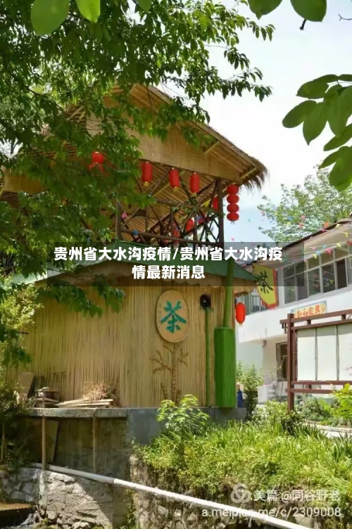贵州省大水沟疫情/贵州省大水沟疫情最新消息-第1张图片
