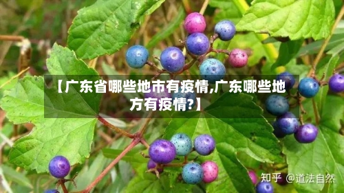【广东省哪些地市有疫情,广东哪些地方有疫情?】-第1张图片