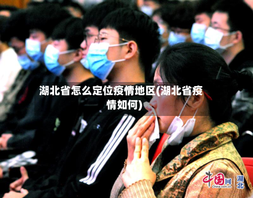 湖北省怎么定位疫情地区(湖北省疫情如何)-第1张图片