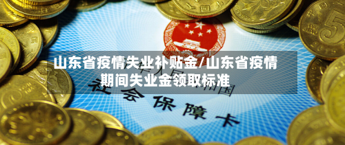 山东省疫情失业补贴金/山东省疫情期间失业金领取标准-第1张图片