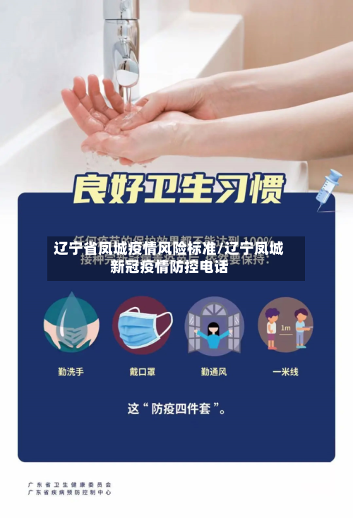 辽宁省凤城疫情风险标准/辽宁凤城新冠疫情防控电话-第1张图片