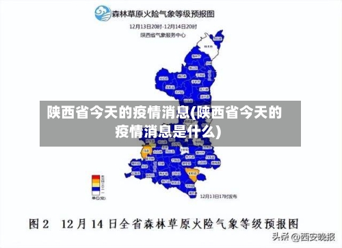陕西省今天的疫情消息(陕西省今天的疫情消息是什么)-第2张图片