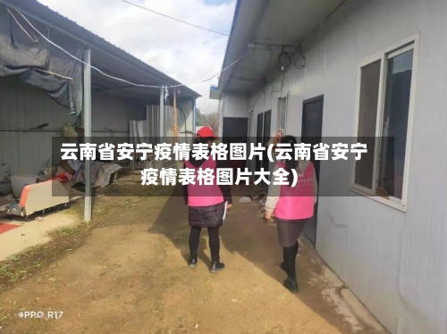 云南省安宁疫情表格图片(云南省安宁疫情表格图片大全)-第1张图片