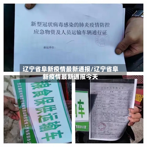 辽宁省阜新疫情最新通报/辽宁省阜新疫情最新通报今天-第2张图片