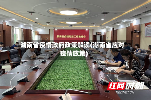 湖南省疫情政府政策解读(湖南省应对疫情政策)-第1张图片
