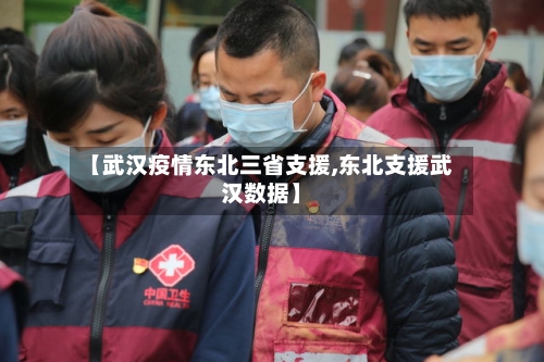 【武汉疫情东北三省支援,东北支援武汉数据】-第2张图片