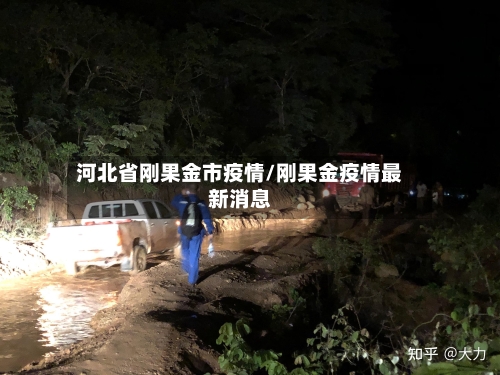 河北省刚果金市疫情/刚果金疫情最新消息-第2张图片
