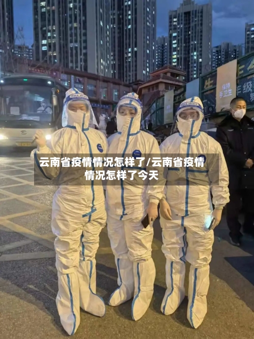 云南省疫情情况怎样了/云南省疫情情况怎样了今天-第3张图片