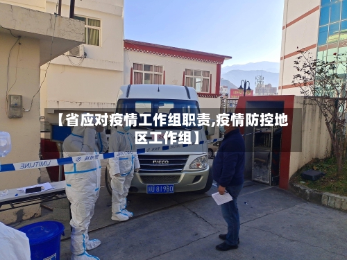 【省应对疫情工作组职责,疫情防控地区工作组】-第2张图片