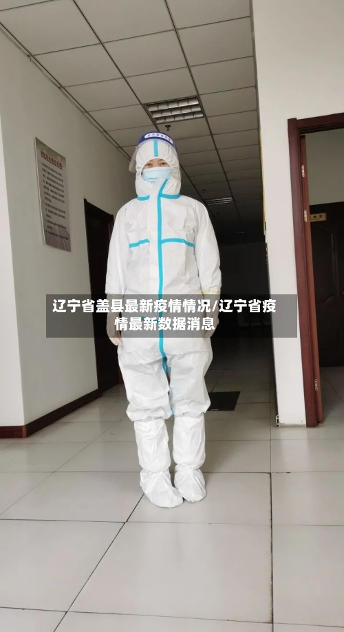 辽宁省盖县最新疫情情况/辽宁省疫情最新数据消息-第3张图片