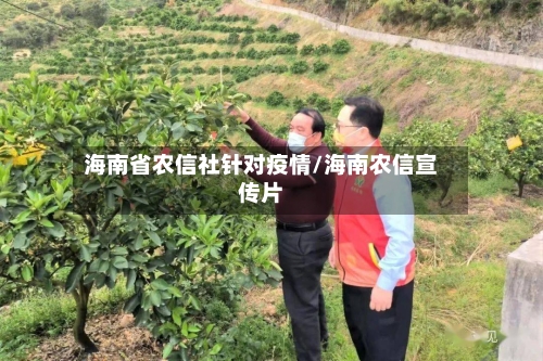 海南省农信社针对疫情/海南农信宣传片-第1张图片