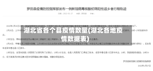 湖北省各个县疫情数量(湖北各地疫情数据表)-第2张图片